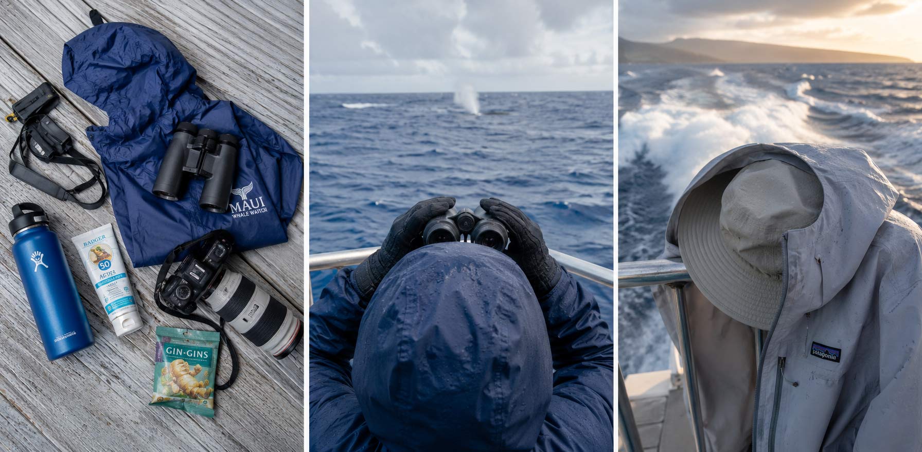 What to Bring Whale Watching on Oahu